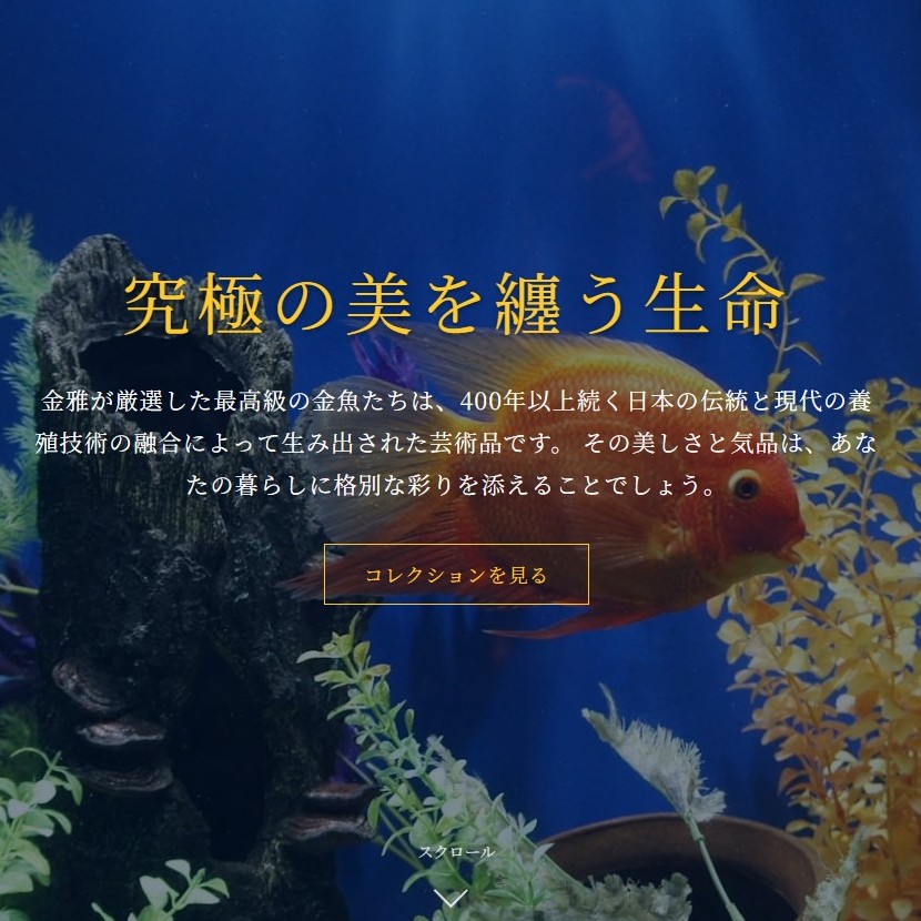 高級金魚販